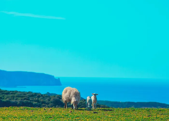 Agriturismo Il Ginepro