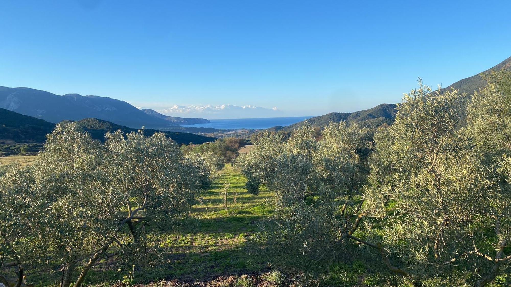 Il Ginepro Bauernhof