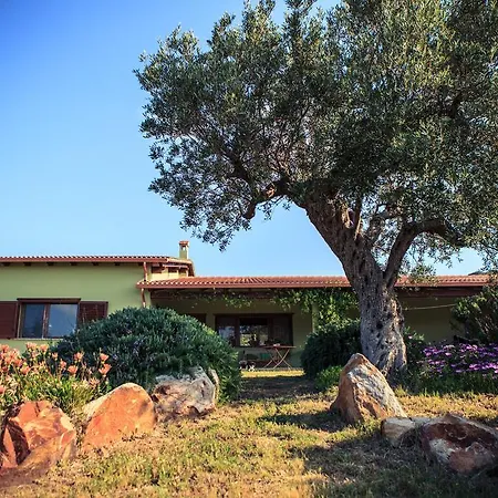 Villa Agriturismo Il Ginepro Fluminimaggiore Exterior foto