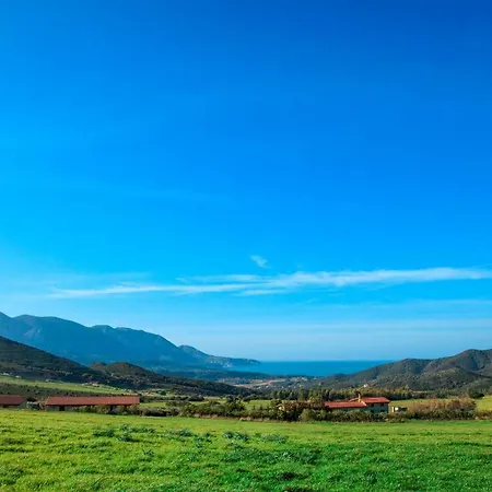 Villa Agriturismo Il Ginepro Fluminimaggiore Exterior foto