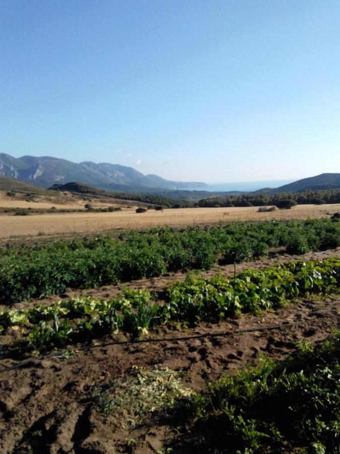 Séjour à la ferme Il Ginepro Fluminimaggiore